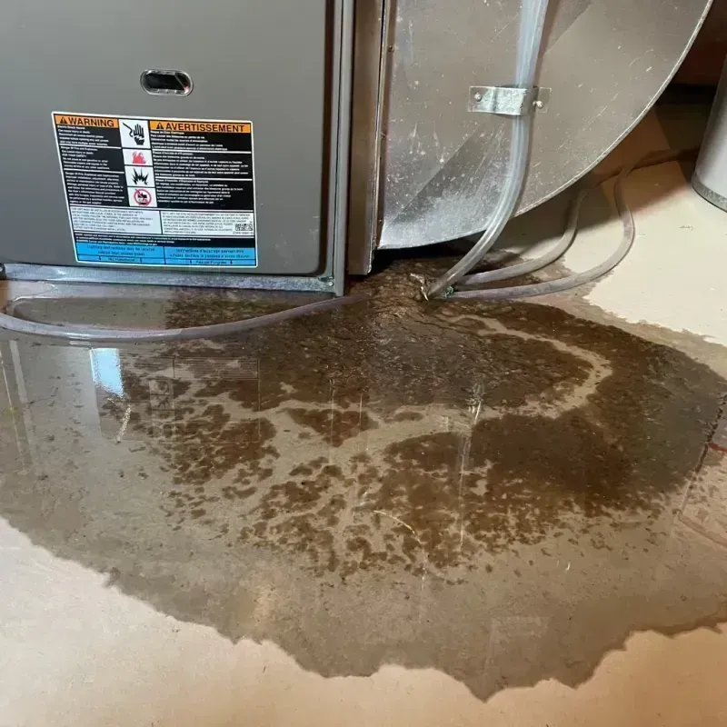 Appliance Leak Cleanup in Hoopeston, IL